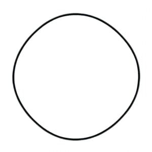 C6 Side Cover O-Ring 06-13 Corvette Differential